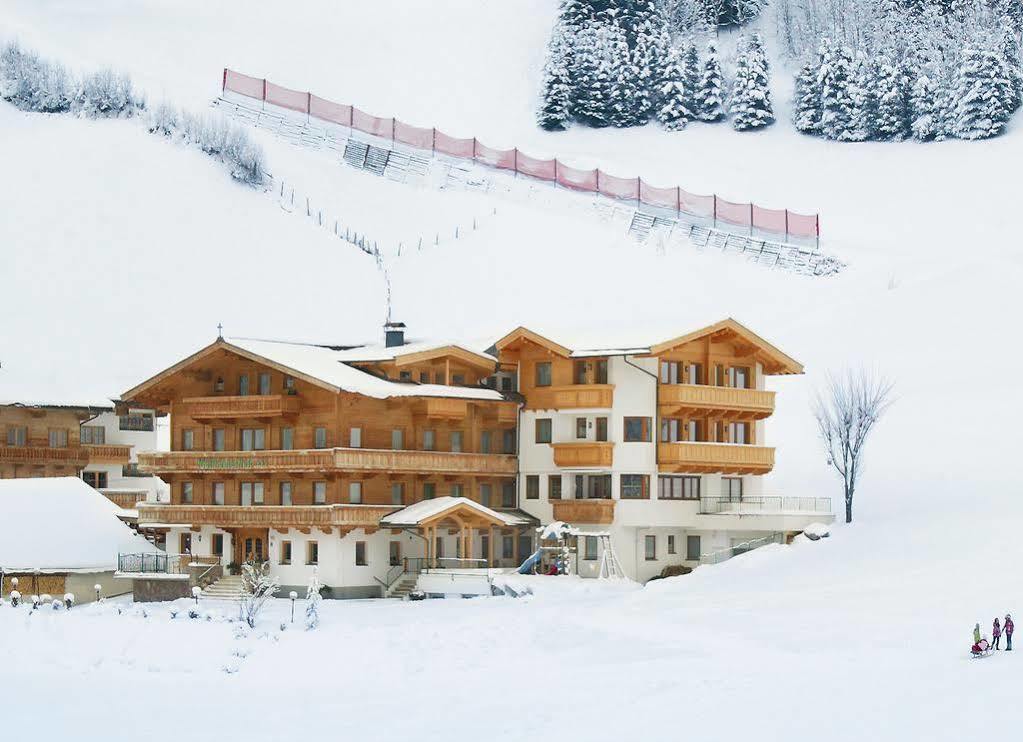 Garni Matthäuserhof Aparthotel Gerlos